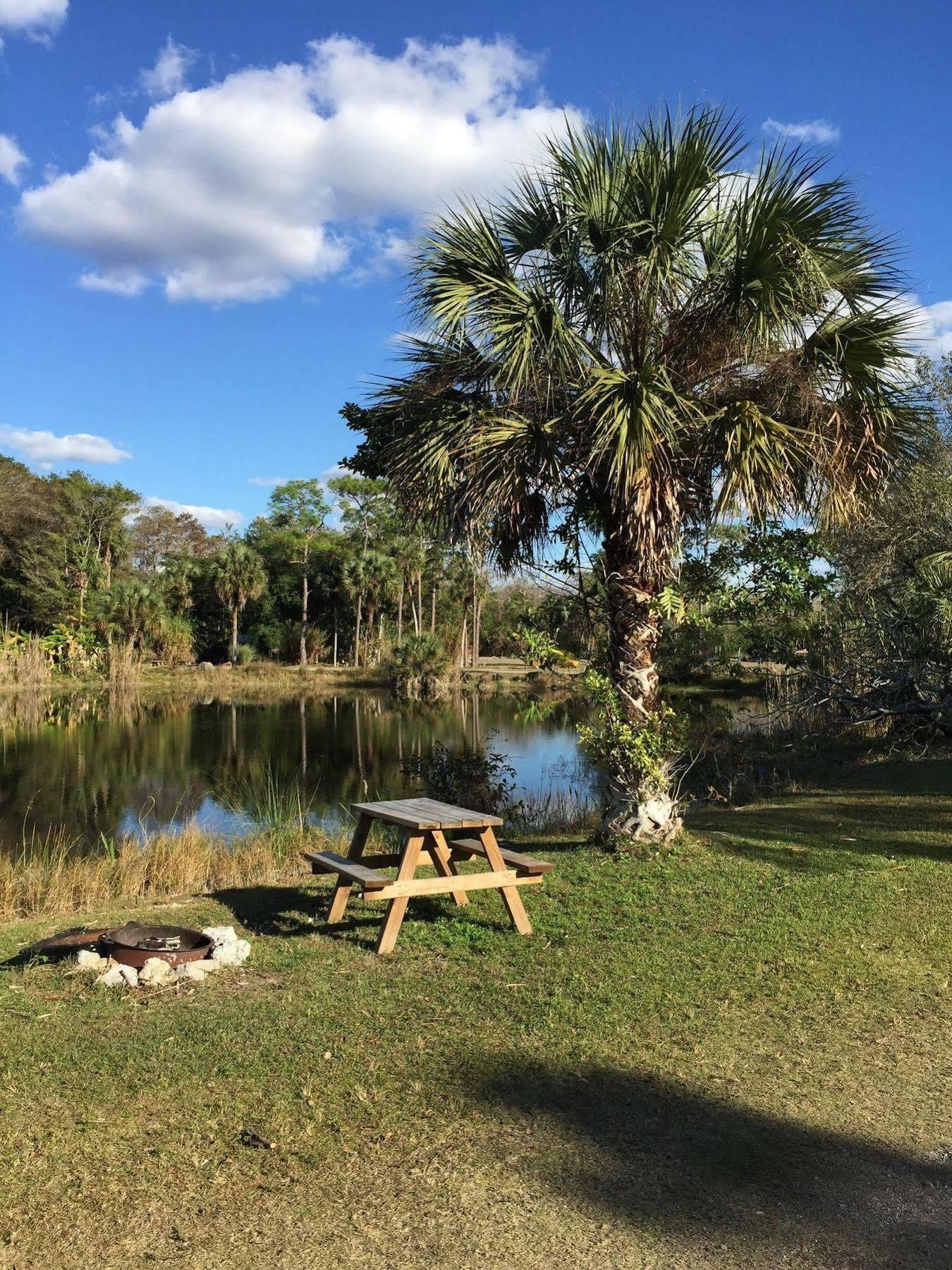 Everglades Chickee Cottage & Bungalow - Ochopee Экстерьер фото